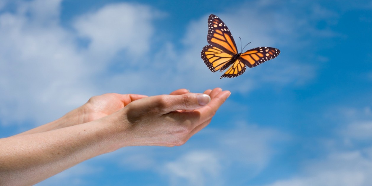 Breathwork Percorso Personale